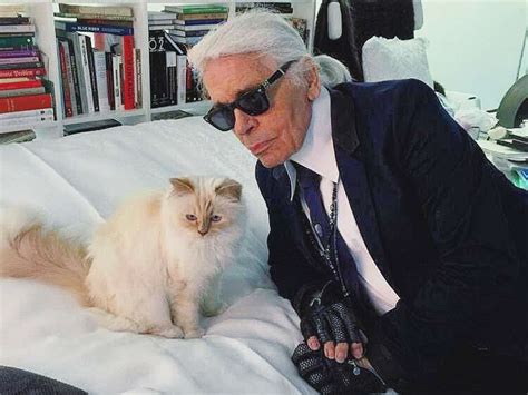 chanel gato|All About Karl Lagerfeld's Beloved Cat Choupette .